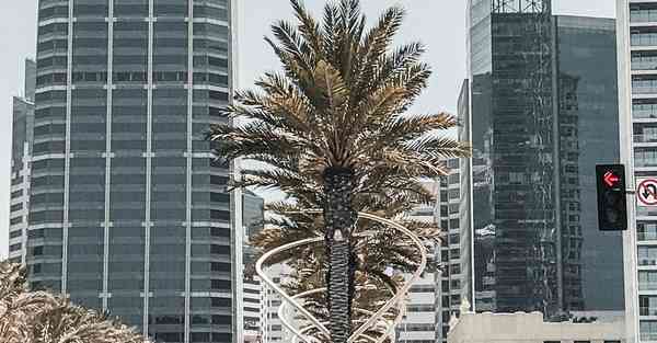 电视剧排行榜最新谍战剧_电视剧排行榜最新热播剧网站