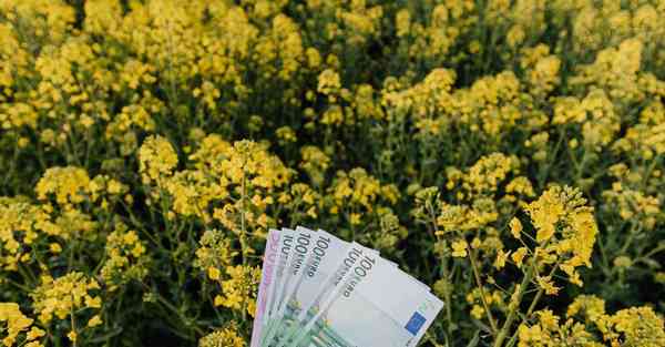 重庆公司制作宣传片