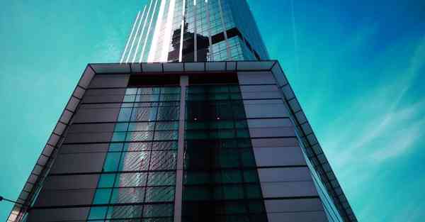 茶叶知识大全_茶叶知识大全基础知识