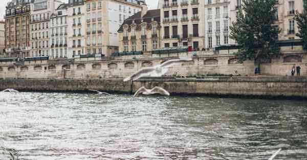 宣传片背景音乐免费下载