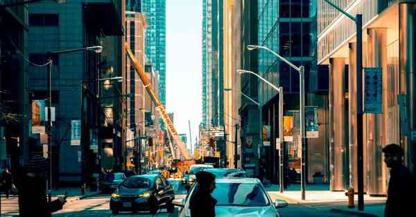 看企鹅的英语怎么写