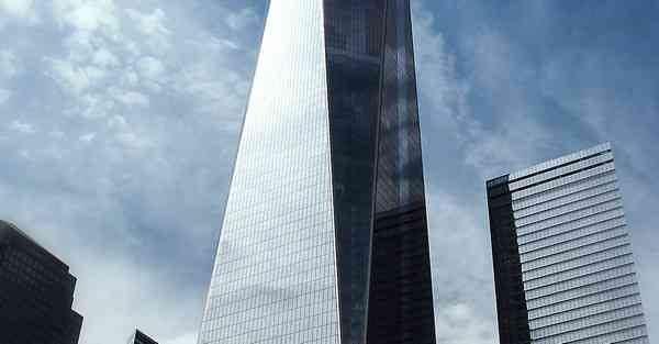 栀子花开的花朵变黄了_栀子花开的花朵变紫色