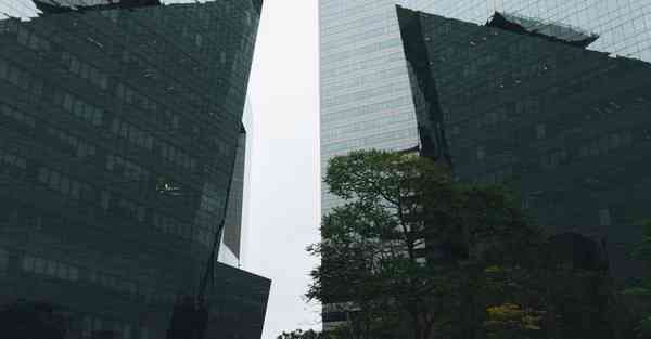 宣传片的字幕位置_宣传片的字幕