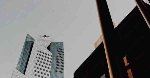 如何快速制作一份营养均衡的早餐