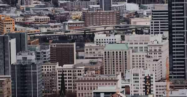 茶杯狐官方网站入口免费观看